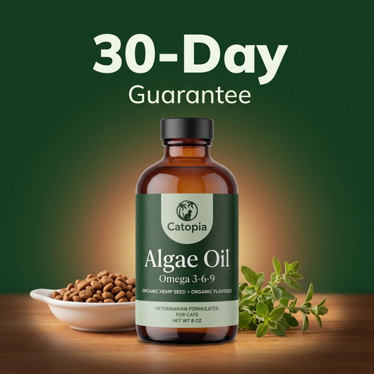 Catopia Marine Algae Oil